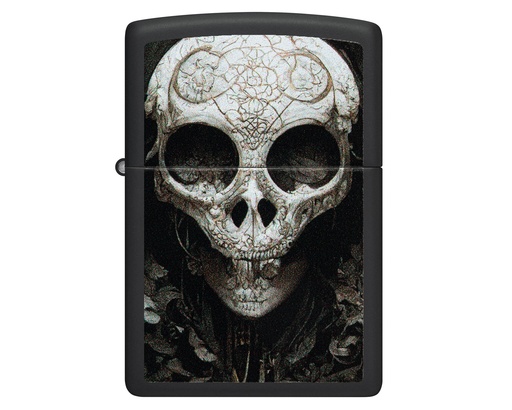 [60006884] Aansteker Zippo Skull 