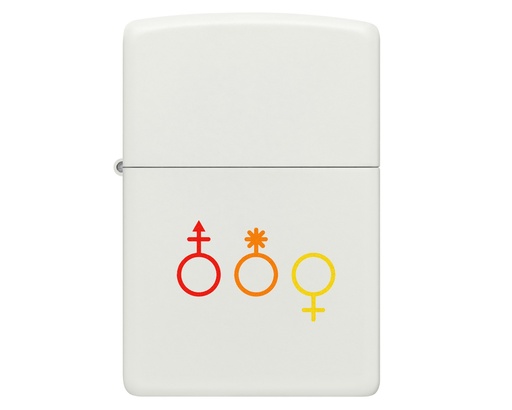 [60006882] Briquet Zippo LGBTQ+